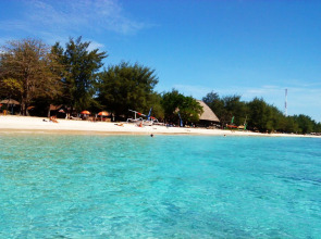 Panda Cottage - Hostel