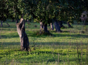 Sant Salvador Hostatgeria