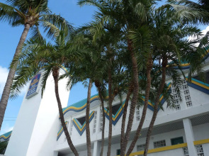 Palm Tree Club Miami Hotel