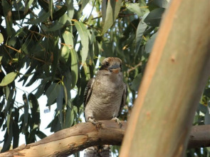The Open House - Bed & Breakfast