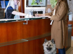 Hotel Stoiser's Graz