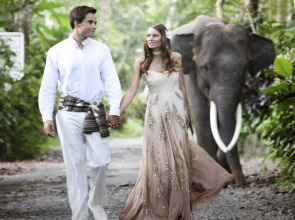 Mason Elephant Lodge