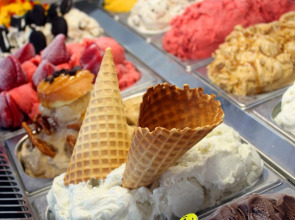 Casa Victoria Orchid