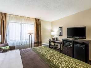 Comfort Inn Detroit Downtown