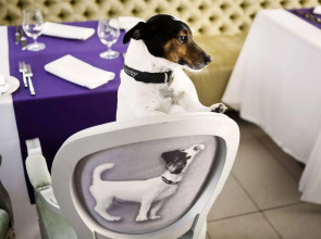 Бутик-отель «Мама»