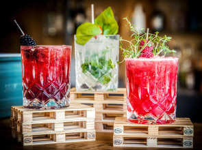 Best Western Plus Palatin Kongresshotel