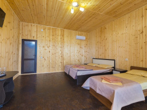 Элион (Алахадзы)