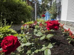 Усадьба НИКА