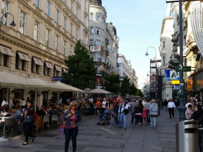 Goldfisch Apartment Vienna Opera House