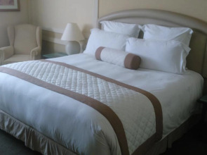 Pullman São Paulo Guarulhos Airport