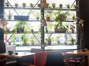 Kombinat Rooms City Center