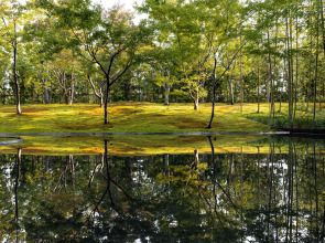 Garrya Nijo Castle Kyoto