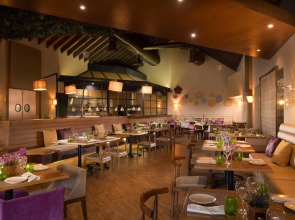 Dreams Onyx Resort & Spa All Inclusive