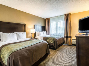 Comfort Inn Detroit Downtown