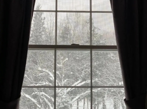 Wadano Forest Apartments