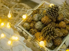 Zhangjiajie Nanfang Yinan Hotel