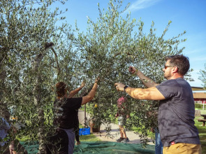 Agriturismo Pompilia