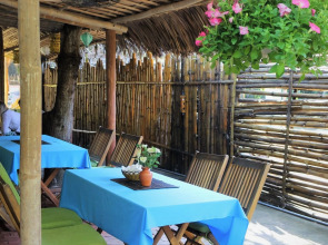 Under the coconut tree - Hostel