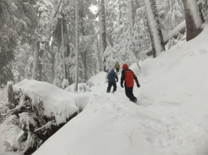 North Vancouver Hotel