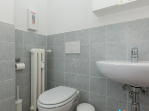 Il Grillo di Firenze