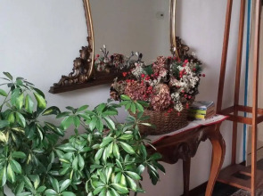 Venice Treviso Airport Bed