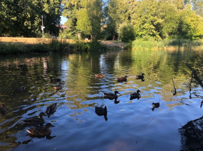 Schwarzwaldhaus Angelhof