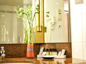 Отель Pullman Bucharest World Trade Center