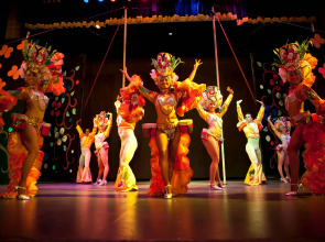 Papillon Zeugma Relaxury