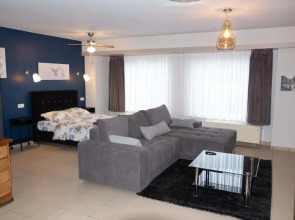 Renovated Apartment in Antwerp