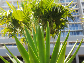 Infinity Self-Catering Apartments