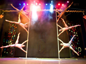 Papillon Zeugma Relaxury