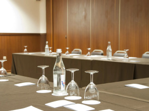 Hotel Rainha D. Amelia, Arts & Leisure