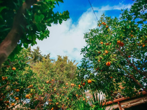 Hadrianus Boutique Hotel