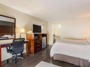 Clevelander Hotel – Adults Only