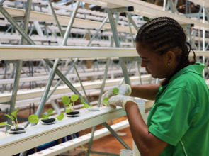 Kempinski Seychelles Resort