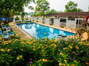 White woods Resort & Spa