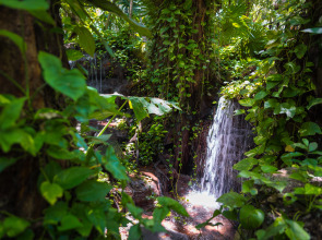 The Reef Playacar Beach Resort & Spa