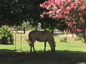Hôtel Mas des Barres