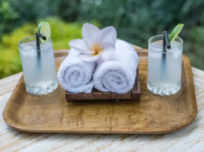 Ubud Tropical garden 2