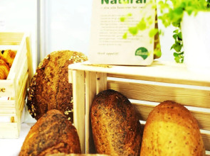 Vander House Apartments