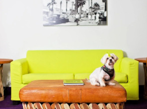 The Saguaro Palm Springs