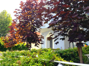 Residence Margherita