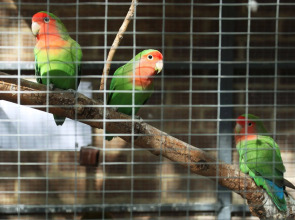 Palmers Lodge Hillspring At Willesden Green