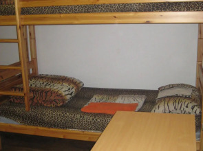 Tiger Hostel
