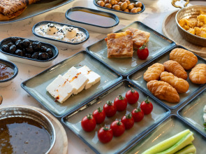 DoubleTree by Hilton Hotel Van