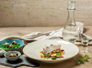 Warmiński Hotel & Conference