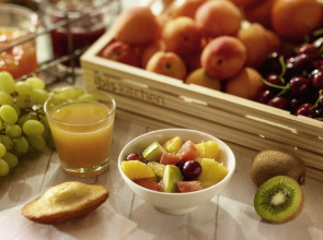 ibis Geneve Centre Gare