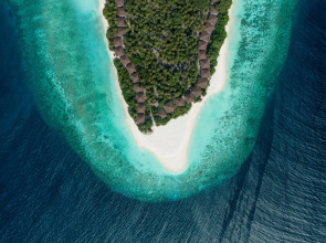 Avani+ Fares Maldives Resort