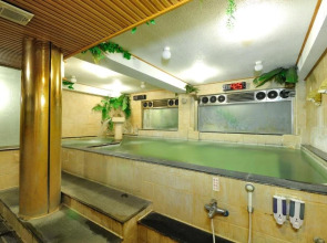 Baron's Hot Spring Hotel