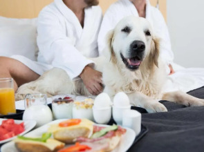 Best Western Plus Park City Malmo